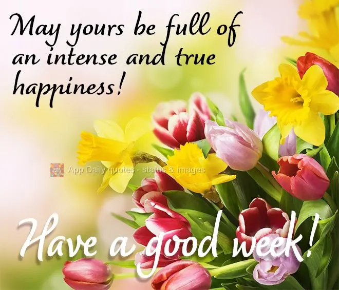 Que a sua semana seja de uma felicidade intensa e verdadeira! Boa semana! 