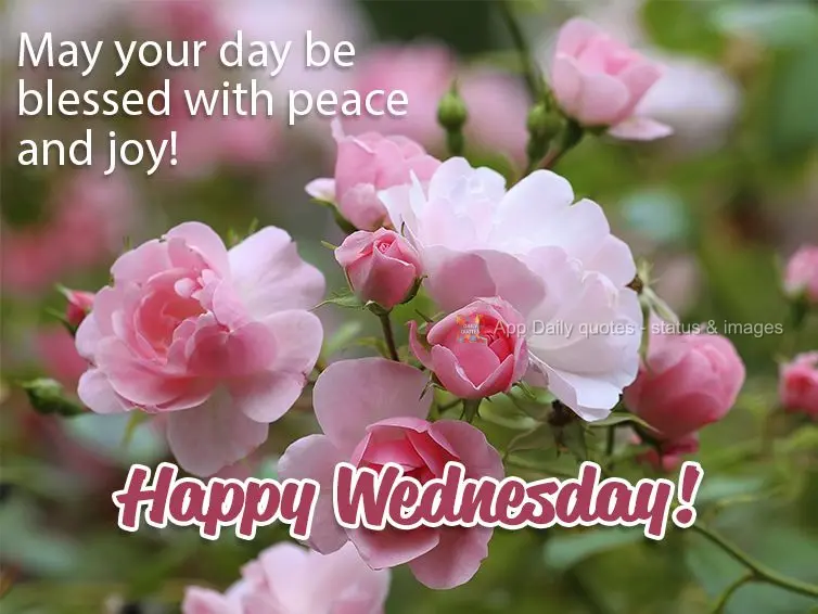 Que seja abençoado o seu dia, com muita paz e alegria! Feliz Quarta-feira! 