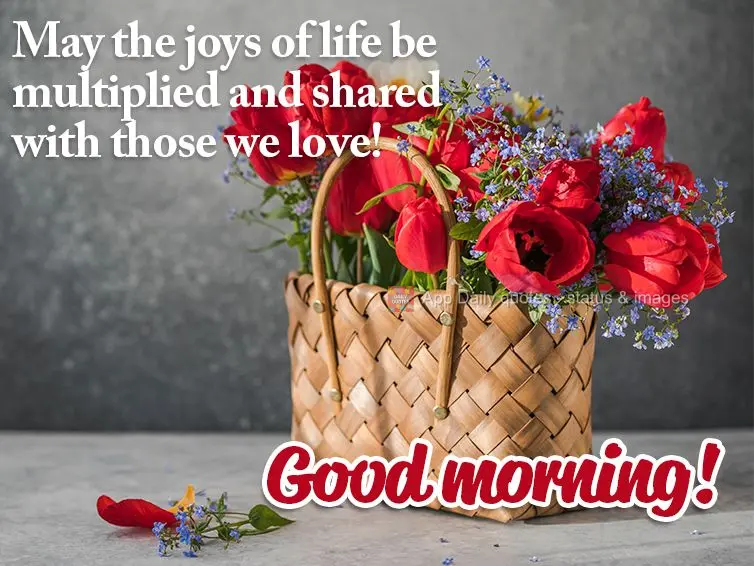 Que as alegrias da vida sejam multiplicadas e divididas com quem a gente ama! Bom dia! 