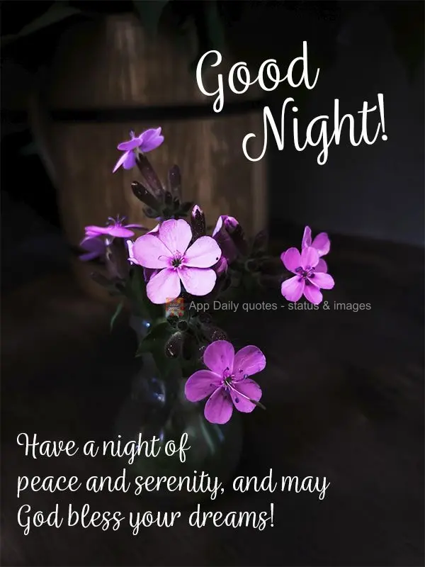 Tenha uma noite de paz e serenidade, e que Deus possa abençoar os seus sonhos! Boa noite!