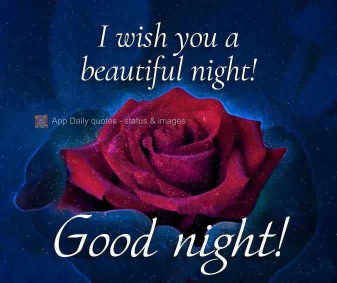 Para você eu desejo uma linda noite! Boa noite! 