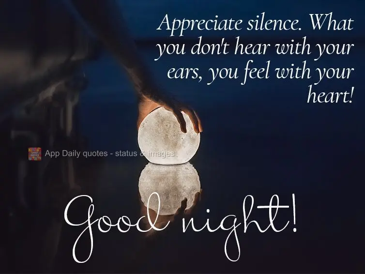 Appreciate silence. What you don't hear with your ears, you feel with your heart! Good night!