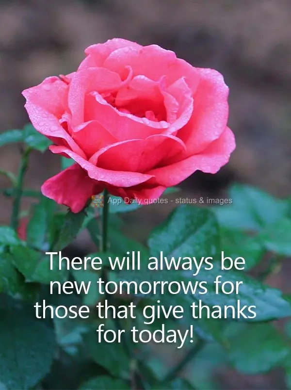 There will always be new tomorrows for those that give thanks for today!