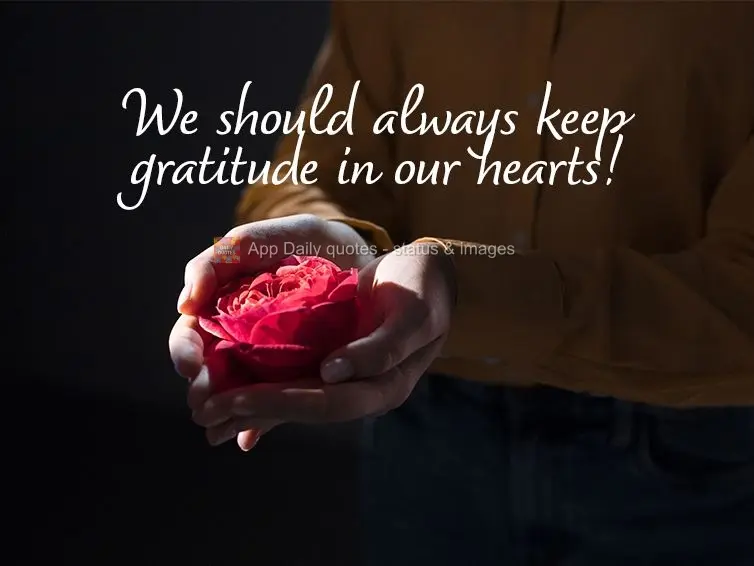 We should always have gratitude in our hearts!