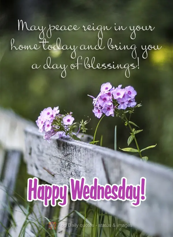May peace reign over your home today and bring you a day of blessings! Happy Wednesday!