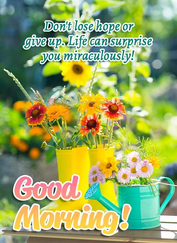 Não desanime nem desista, a vida pode surpreender de forma milagrosa! Bom dia!