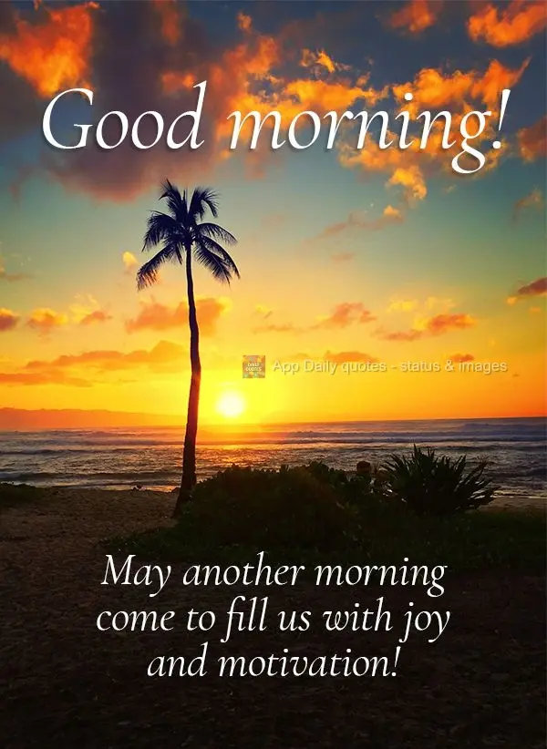 Que venha mais um amanhecer pra nos encher de alegria e motivação! Bom dia!