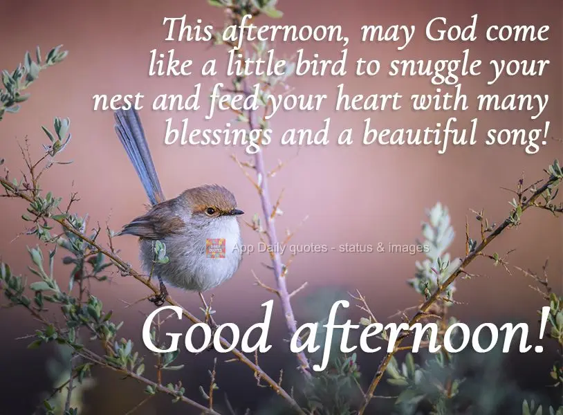 Que nesta tarde Deus venha como um passarinho aconchegando seu ninho e alimentando seu coração com muitas bênçãos e uma linda canção! Boa tarde!...