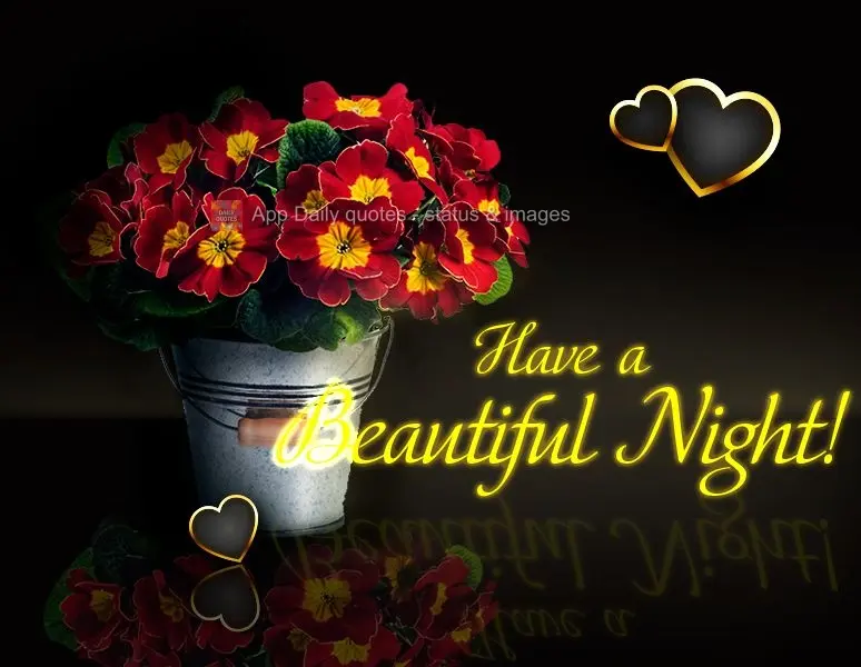 Have a beautiful night!
