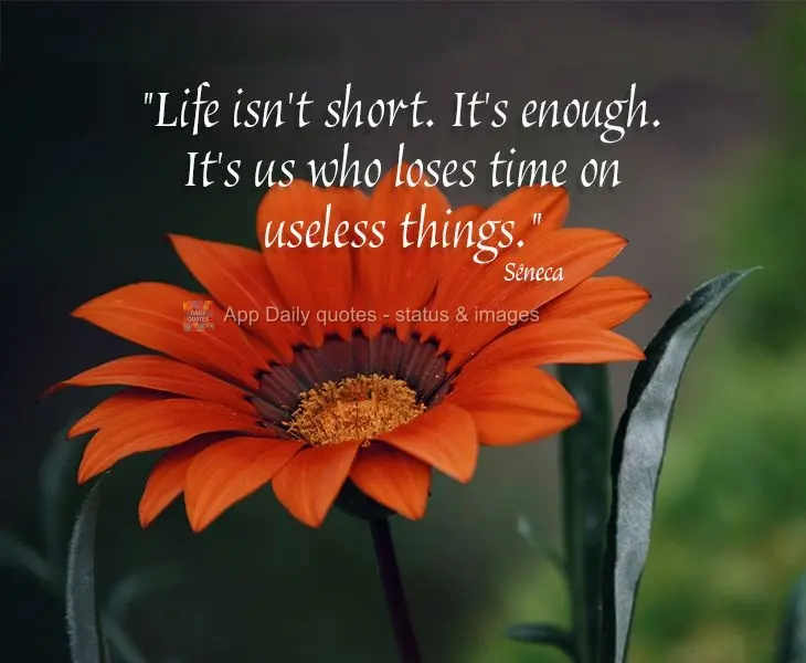 “A vida não é breve. Ela é suficiente. Nós é que perdemos tempo com coisas inúteis.” Sêneca