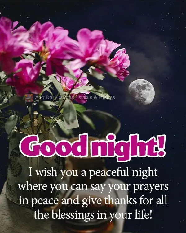 Desejo uma noite tranquila, onde você possa fazer as suas orações em paz e agradecer por todas as bênçãos da vida! Boa noite! 