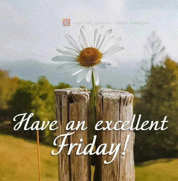 Have an excellent Friday!