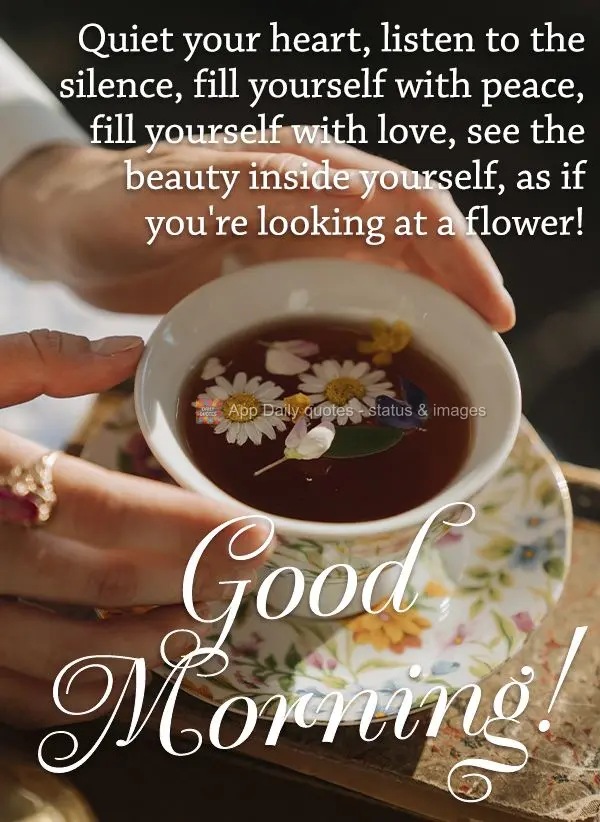 Aquieta teu coração, ouça o silêncio, se encha de paz, se encha de amor, enxergue beleza em si, como se vê em uma flor! Bom dia! 