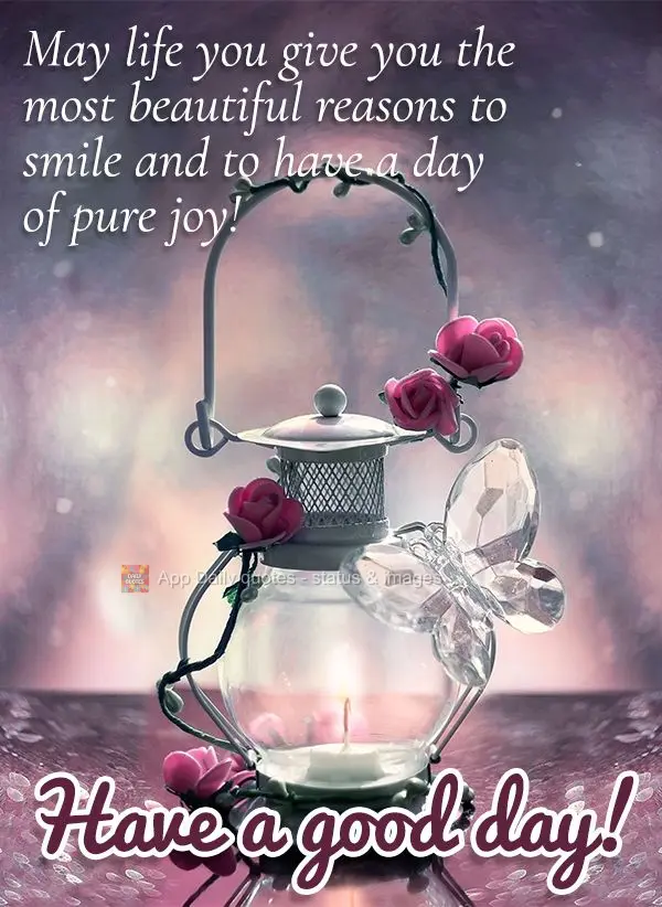 Que a vida lhe dê os motivos mais lindos para fazer você sorrir e ter um dia de pura felicidade! Bom dia!