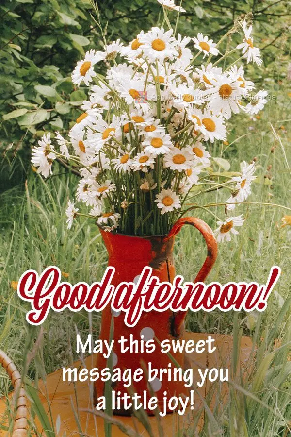 Que esta linda mensagem possa lhe trazer um pouco de alegria! Boa tarde! 