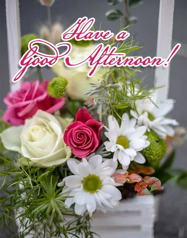 Tenha uma Feliz tarde!