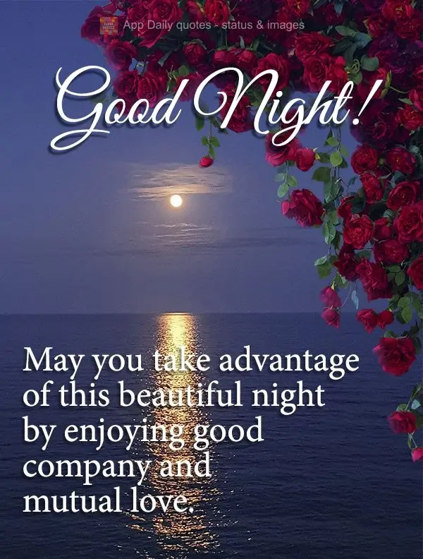 Que você possa aproveitar esta linda noite desfrutando de boa companhia e muito amor recíproco. Boa noite! 