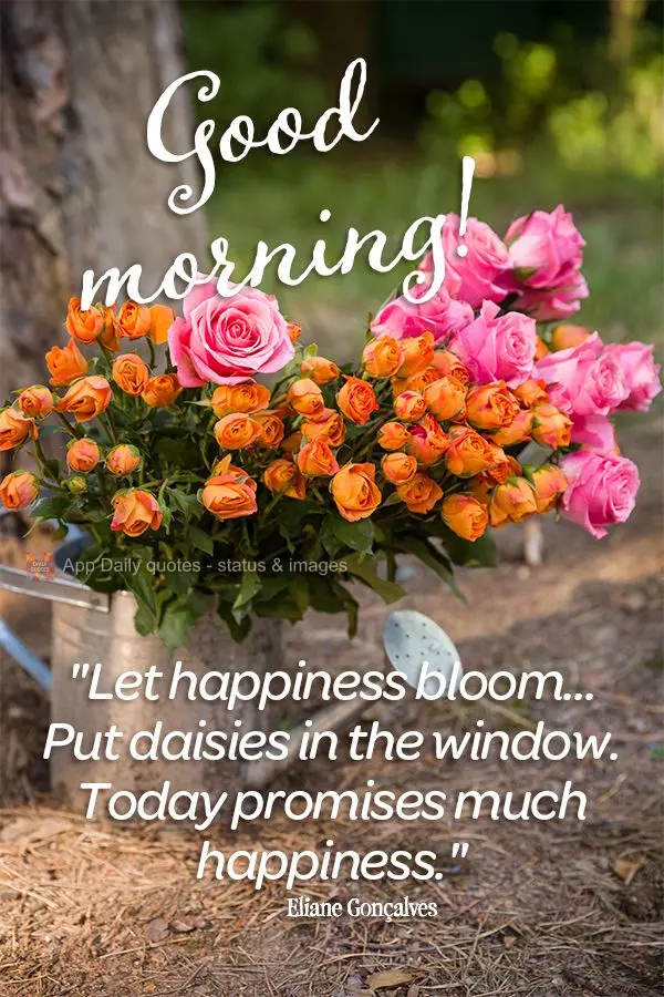 “Floresça as alegrias… Coloque margaridas na janela. O dia hoje promete felicidades." Bom dia!  Eliane Gonçalves