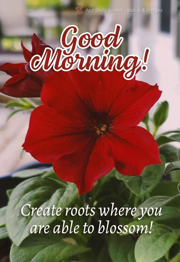 Create roots where you are able to blossom! Good Morning!