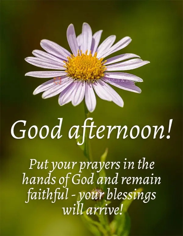 Coloque suas preces nas mãos de Deus e permaneça na fé, suas bênçãos chegarão! Boa tarde! 