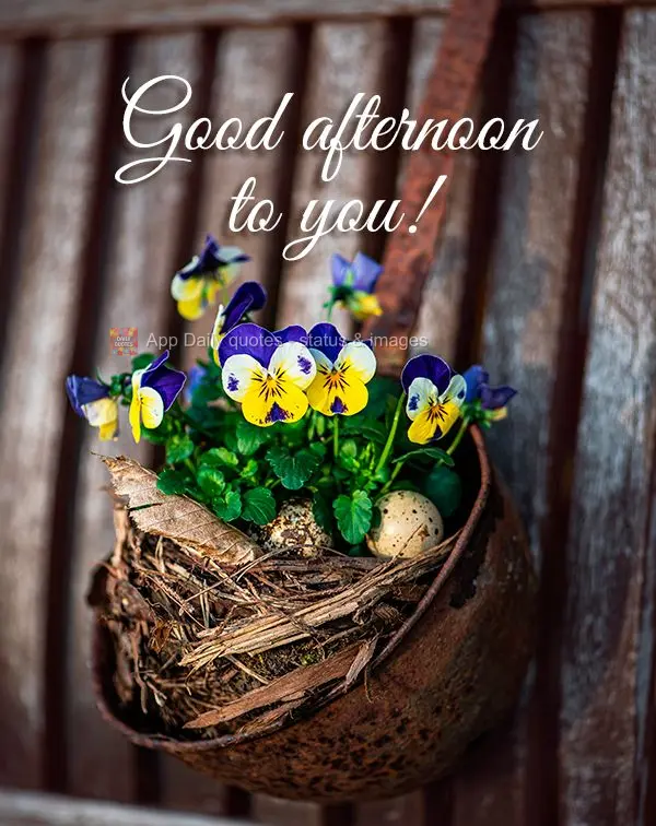 Feliz tarde para você!