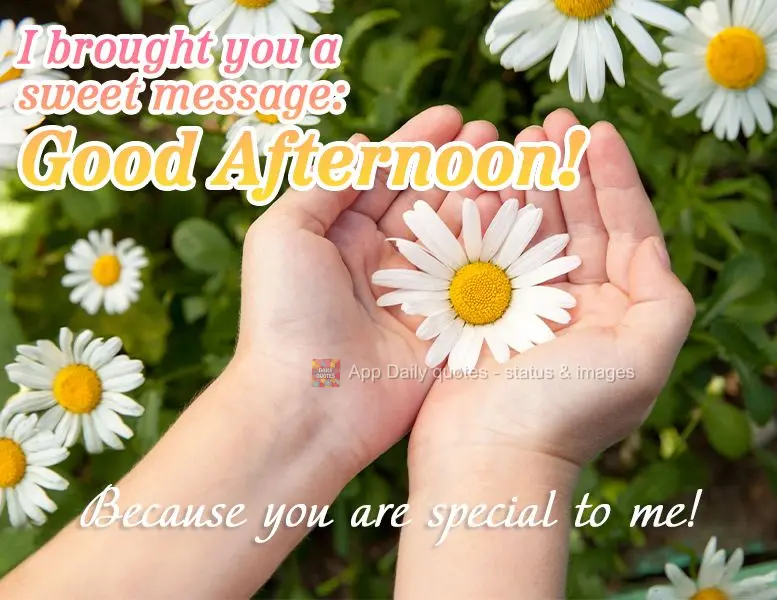 Trouxe para você uma linda mensagem de Boa tarde! Porque você é especial para mim!