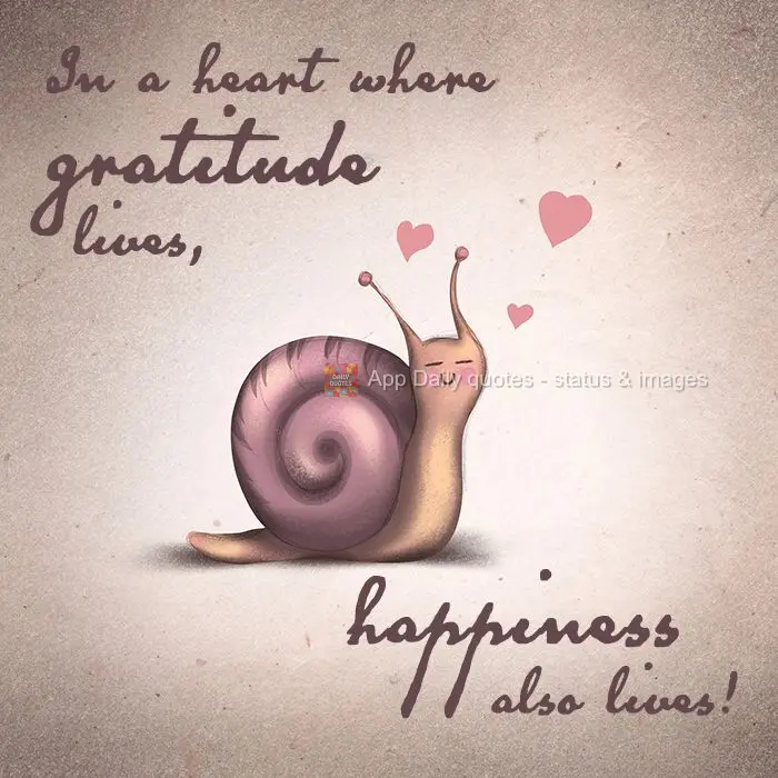 Em um coração onde mora a gratidão também mora a felicidade!