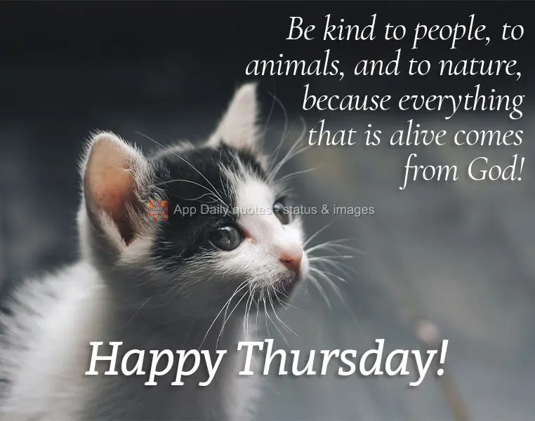 Be kind to people, to animals, and to nature, because everything that is alive comes from God! Happy Thursday!