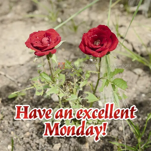 Have an excellent Monday!