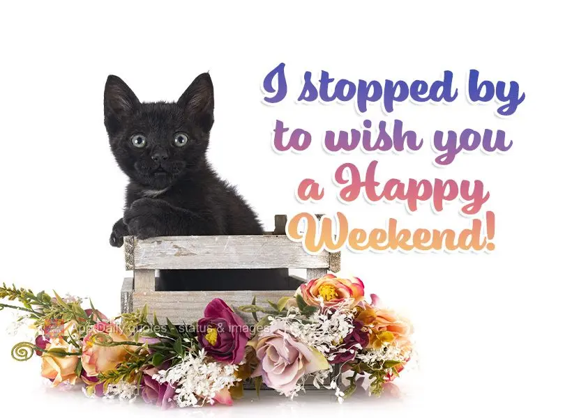 I stopped by to wish you a Happy Weekend!