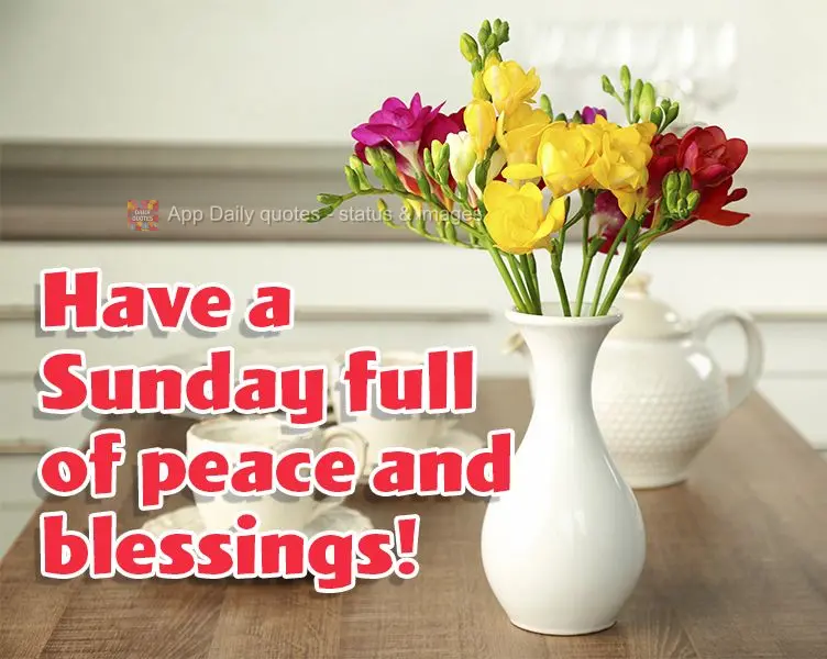 Tenha um Domingo de muita paz e bênçãos!