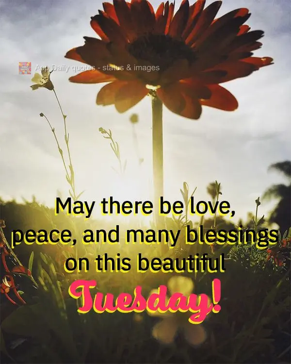 May there be love, peace, and many blessings on this beautiful Tuesday!
