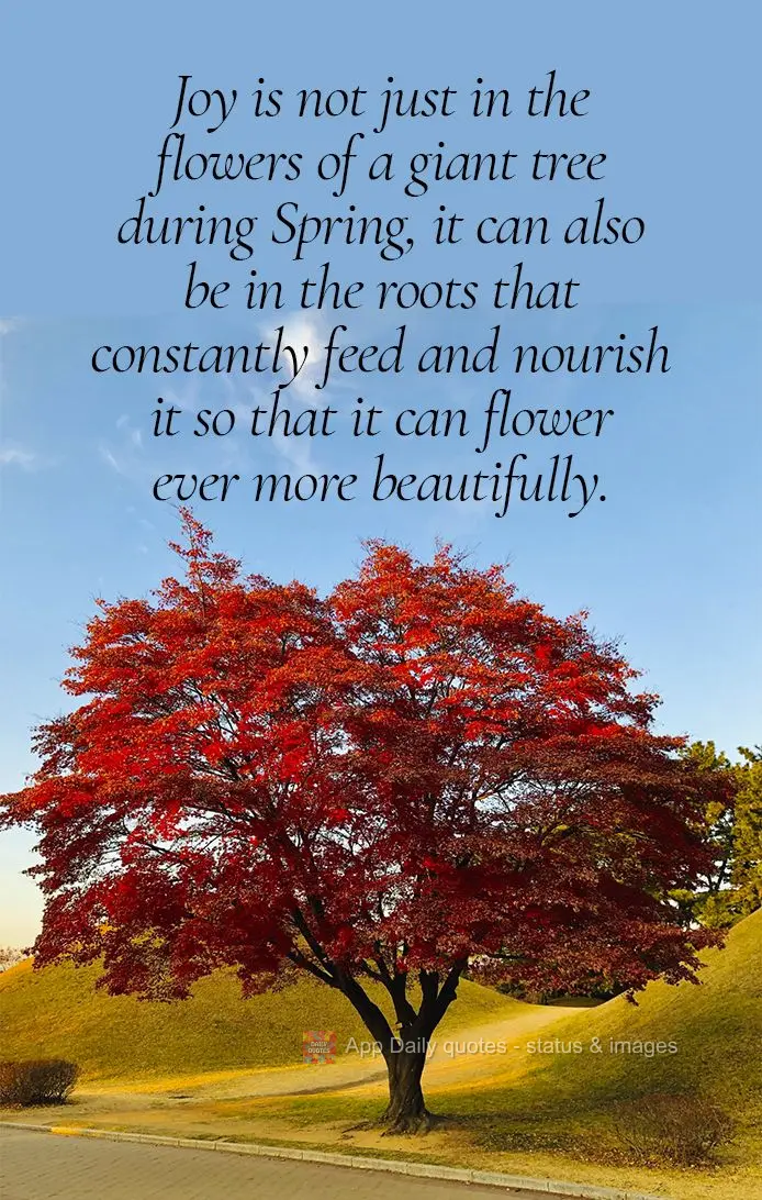 Joy is not just in the flowers of a giant tree during Spring, it can also be in the roots that constantly feed and nourish it so that it can flower ever ...