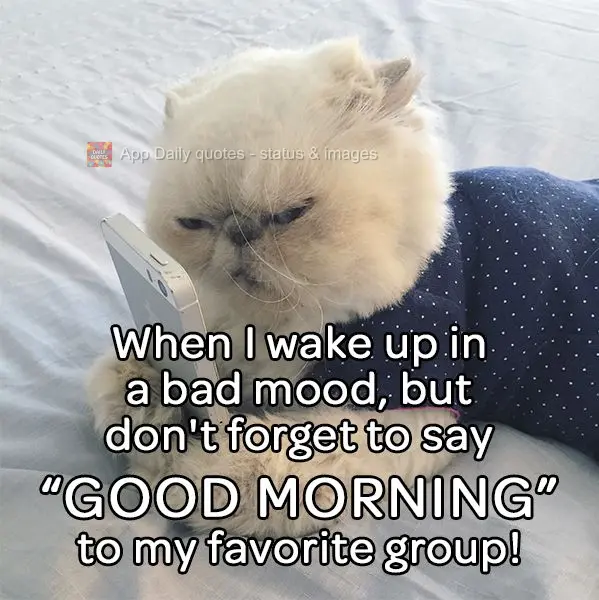 When I wake up in a bad mood, but I still don't forget to say "Good morning" to my favorite group!