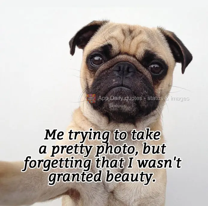 Me trying to take a pretty photo, but forgetting that I wasn't granted beauty.