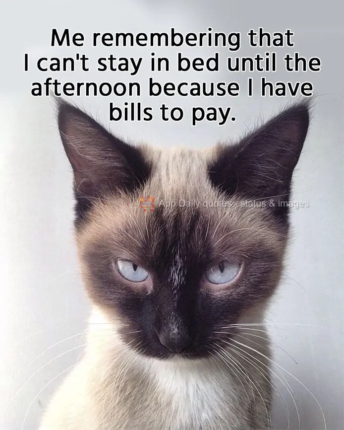Me remembering that I can't stay in bed all afternoon because I have bills to pay.