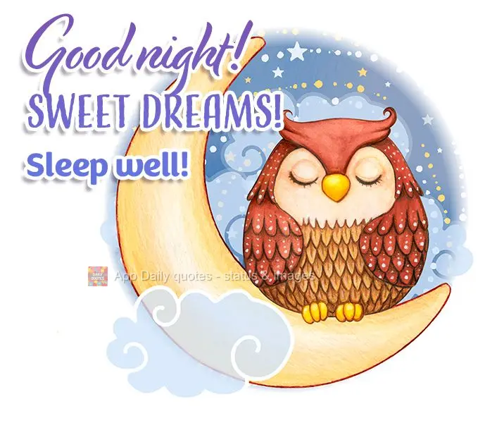 Good night! Sweet dreams! Sleep well!