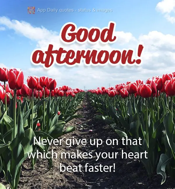 Never give up on that which makes your heart beat faster! Good afternoon!
