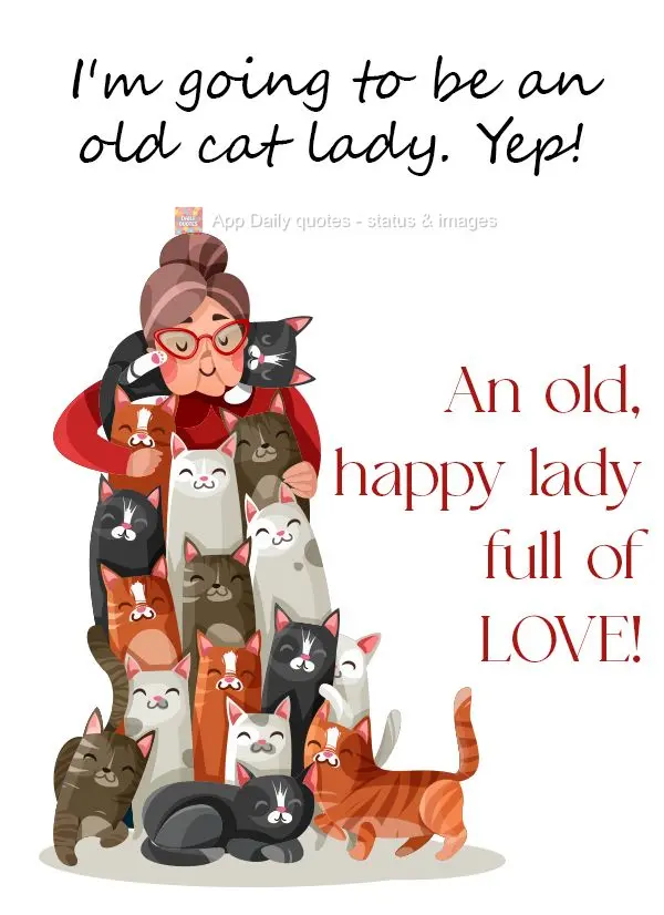 Eu serei a velha dos gatos. Sim! Uma velha feliz e cheia de amor!