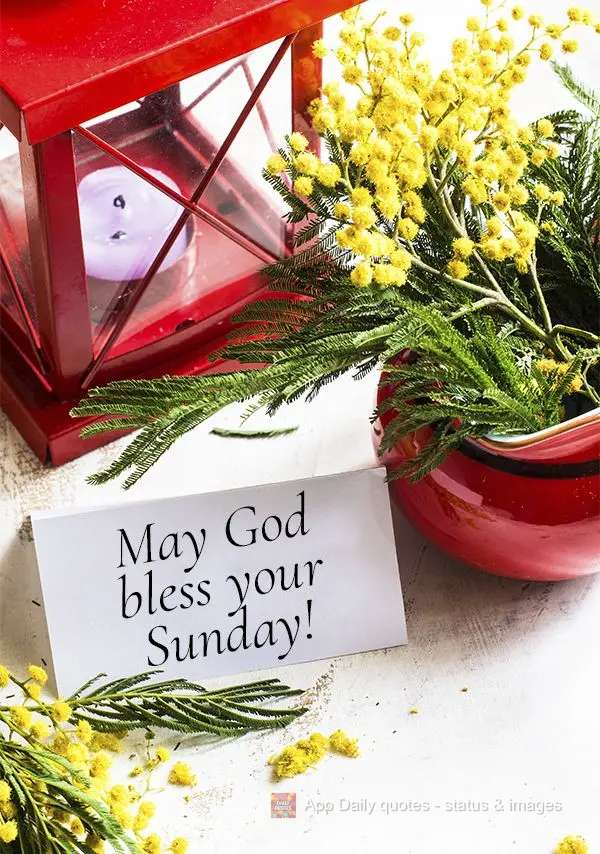 May God bless your Sunday!