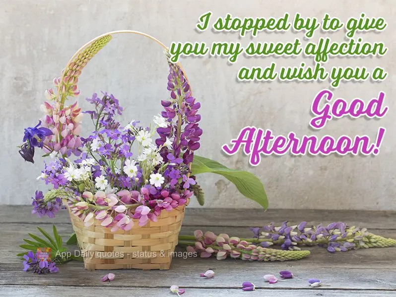I stopped by to send you my sweet affection and wish you a Good Afternoon!