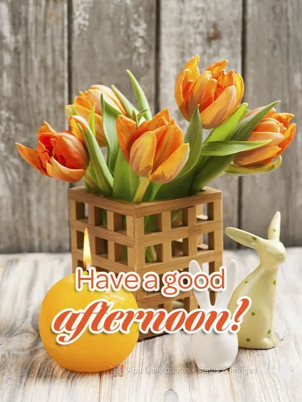 Tenha uma boa tarde!