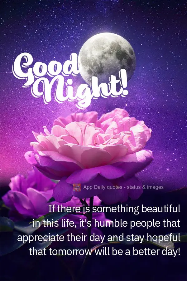 Se existe algo bonito nessa vida, é a pessoa humilde que agradece pelo seu dia e mantém esperança por um amanhã melhor! Boa noite!