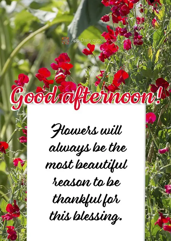 Flowers will always be the most beautiful reason to be thankful for this blessing. Good afternoon!