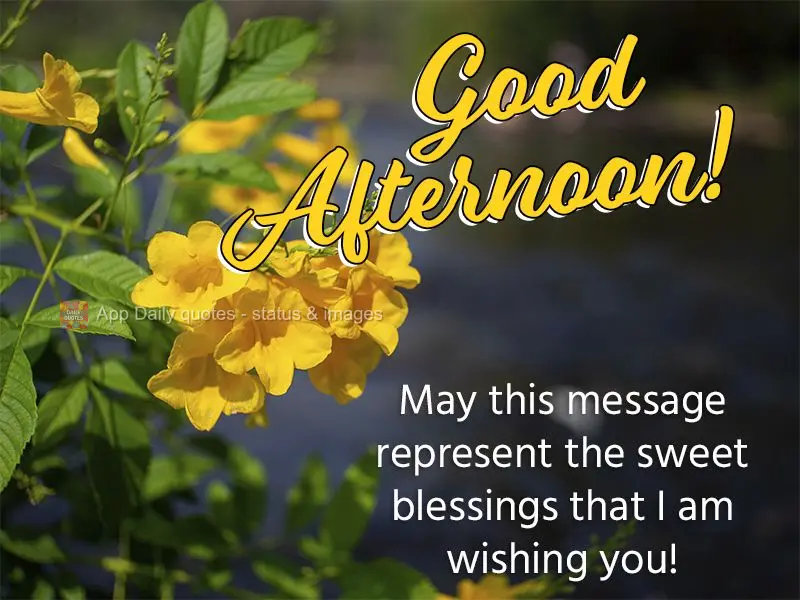 Que essa mensagem possa representar lindas bênçãos que eu estou a te desejar! Boa tarde!