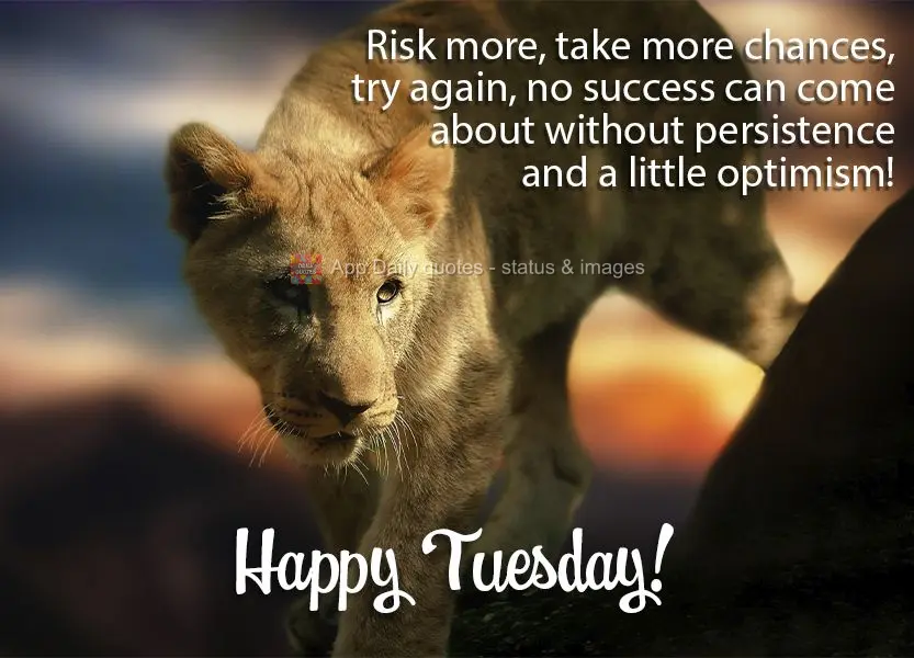 Risk more, take more chances, try again. No success is gained without persistence and a little optimism! Happy Tuesday!