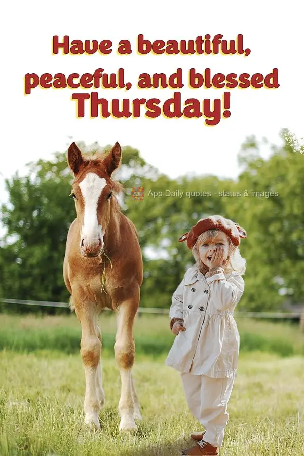 Have a beautiful, peaceful, and blessed Thursday!