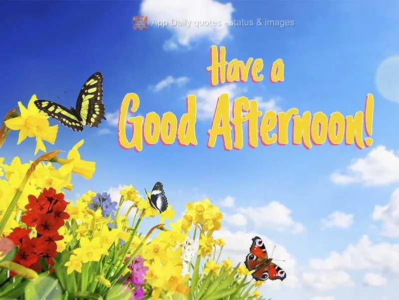 Tenha uma Feliz tarde!