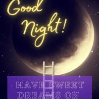 Tenha lindos sonhos e uma noite de paz! Boa noite!