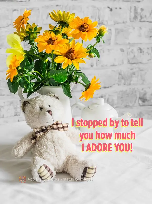 Passei aqui para dizer o quanto adoro você!